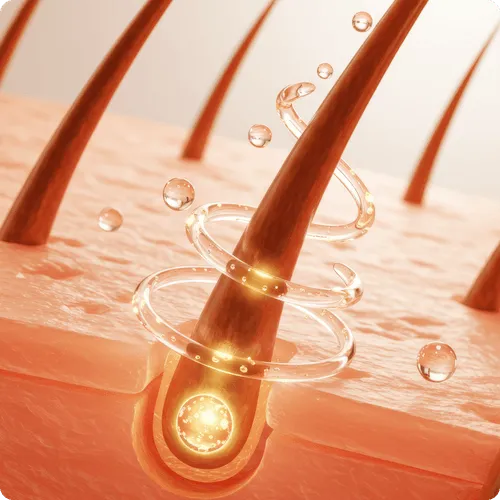 Hair Follicle Growth